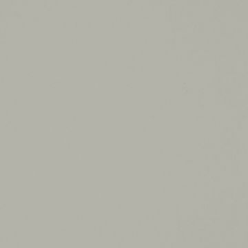 Обои виниловые Bernardo Bartalucci (Бернардо Барталучи) Coco 5088-24