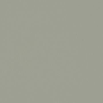 Обои виниловые Bernardo Bartalucci (Бернардо Барталучи) Coco 5088-25