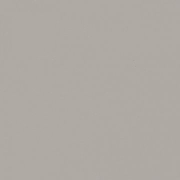 Обои виниловые Bernardo Bartalucci (Бернардо Барталучи) Coco 5088-49