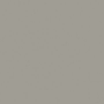 Обои виниловые Bernardo Bartalucci (Бернардо Барталучи) Coco 5088-67