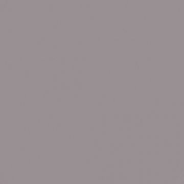 Обои виниловые Bernardo Bartalucci (Бернардо Барталучи) Coco 5088-77