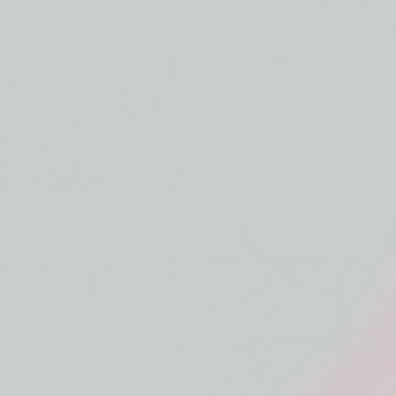 Обои виниловые Bernardo Bartalucci (Бернардо Барталучи) Coco 5088-79