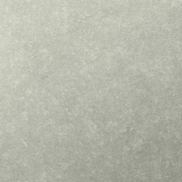 Обои виниловые на флизелине Bernardo Bartalucci (Бернардо Барталучи) Concept 106 84279-16