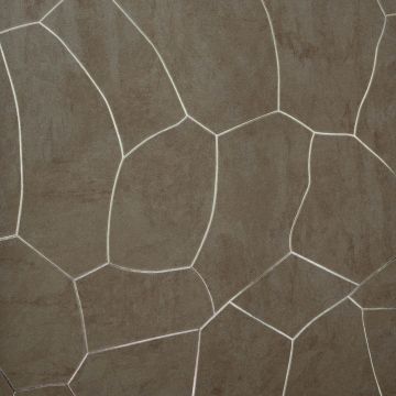 Обои виниловые на флизелине Bernardo Bartalucci (Бернардо Барталучи) Brigida 84274-6