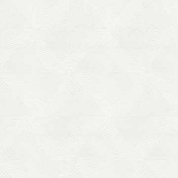 Обои виниловые на флизелине Erismann Spotlight 2 10.05х1.06 м, ER12204-01