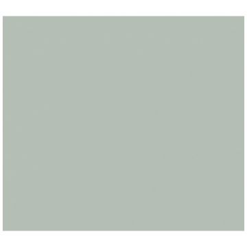 Обои флизелиновые Milassa Ambiplain 3 10х1 м (Am9 005/1)