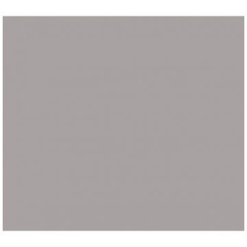 Обои флизелиновые Milassa Ambiplain 3 10х1 м (Am9 008/3)