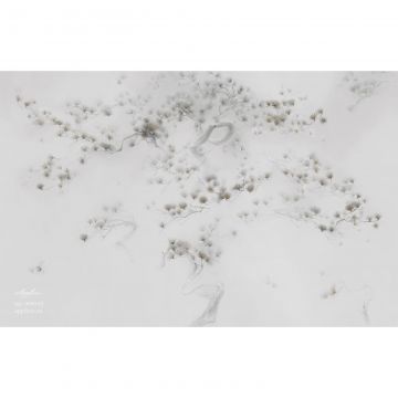 Фреска виниловая Applico (Апплико) Four, 0060-S1