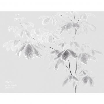 Фреска виниловая Applico (Апплико) Four, VR-0046-S1