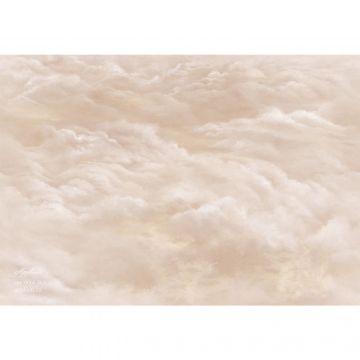 Фреска виниловая Applico (Апплико) Five, 0066-A