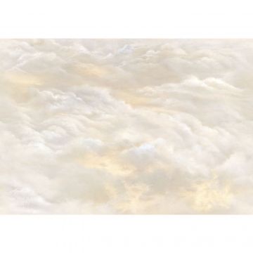 Фреска виниловая Applico (Апплико) Five, 0066-Br1