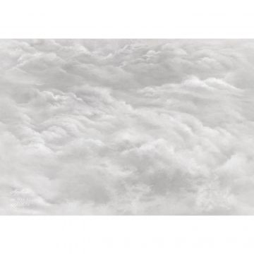 Фреска виниловая Applico (Апплико) Five, 0066-S1