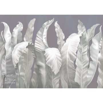 Фреска виниловая Applico (Апплико) One, 0010-S1