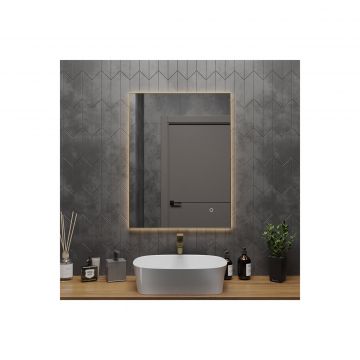 Зеркало RoxenBath (РоксенБаз) Frida 60x80 см, 510215-60