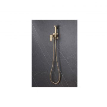 Смеситель Abber (Аббер) Wasserfall AF8625G с гигиеническим душем, золото матовое