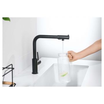 Смеситель Aquatek (Акватек) Европа для кухни с подключением к фильтру питьевой воды, матовый черный AQ1386MB