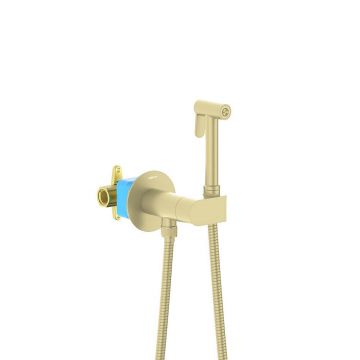 Комплект для гигиенического душа Aquatek (Акватек) Оберон встроенный (смеситель c прогрессивным картриджем + гигиеническая лейка + шланг), шлифованное золото AQ1024BG
