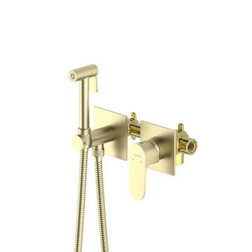 Комплект для гигиенического душа Aquatek (Акватек) Оберон встроенный 2 отв. (смеситель + гигиеническая лейка + шланг), шлифованное золото AQ1220BG