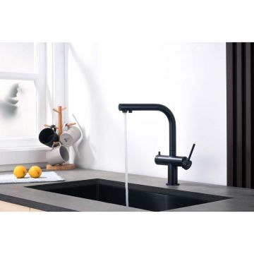 Смеситель Aquatek (Акватек) Европа для кухни с подключением к фильтру питьевой воды, матовый черный AQ1385MB