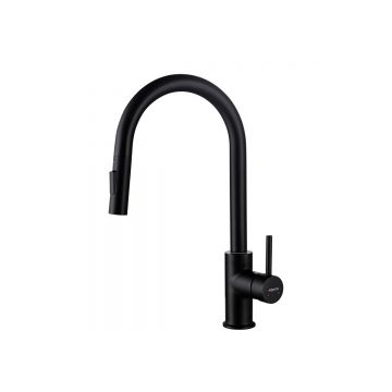 Смеситель Aquatek (Акватек) Европа для кухни с вытяжным изливом 2 jet, матовый черный AQ1384MB