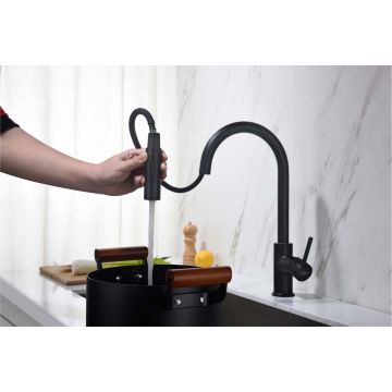 Смеситель Aquatek (Акватек) Европа для кухни с вытяжным изливом 2 jet, матовый черный AQ1384MB