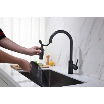 Смеситель Aquatek (Акватек) Европа для кухни с вытяжным изливом 2 jet, матовый черный AQ1384MB