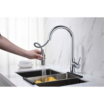 Смеситель Aquatek (Акватек) Европа для кухни с вытяжным изливом 2 jet хром AQ1384CR