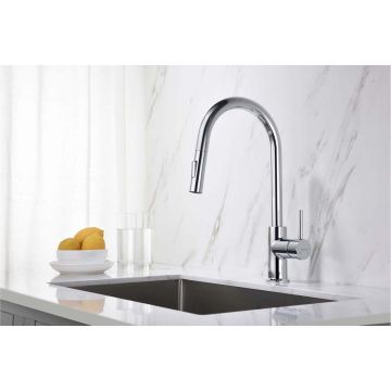 Смеситель Aquatek (Акватек) Европа для кухни с вытяжным изливом 2 jet хром AQ1384CR