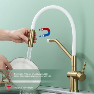 Смеситель для кухни со съемным изливом на магните Raglo R86.41.03, золотой сатин