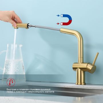 Смеситель для кухни с выдвижным изливом Raglo (Рагло) R86.49.03, золотой сатин