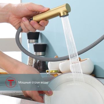 Смеситель для кухни с выдвижным изливом Raglo (Рагло) R86.49.03, золотой сатин