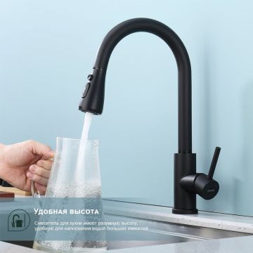 Смеситель для кухни с выдвижным изливом Splenka (Спленка) S203.49.06, черный