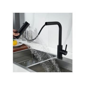 Смеситель для кухни с мультифункциональным изливом Raffine (Раффин) F203H, черный