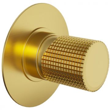 Смеситель для душа Paini (Паини) Cox Grip встраиваемый 7GPJ690 брашированное золото