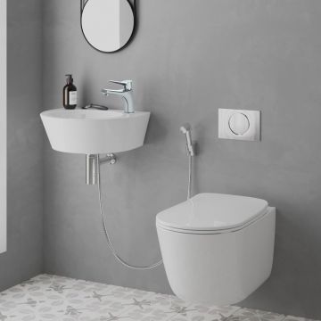 Смеситель для раковины Paini (Паини) Messina с гигиеническим душем MECR205/574 хром