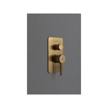 Смеситель для душа Allen Brau (Аллен Брау) Priority 5.31011-GB с внутренней частью, брашированное золото