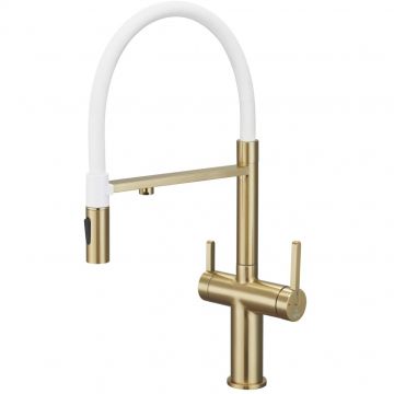 Смеситель для кухни с подключением фильтра воды Rose (Розе) , золотой сатин, R458G