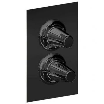 Смеситель Cisal (Кисал) Vita для душа, встраиваемый термостатический, 3 выхода, цвет: черный матовый VI0BT03040