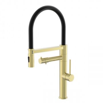 Смеситель для кухни с гибким изливом и подключением фильтра Wonzon and Woghand (Вонзон И Вогханд) , Брашированное золото WW-88458007-BG