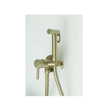 Смеситель для биде скрытого монтажа Ganzer (Ганзер) GZ42101-S Set Матовый золотой