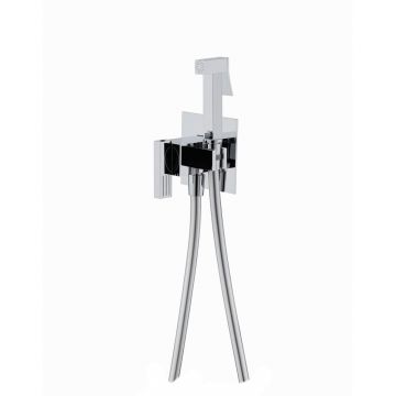 Смеситель для биде скрытого монтажа Ganzer (Ганзер) GZ01157 Хром