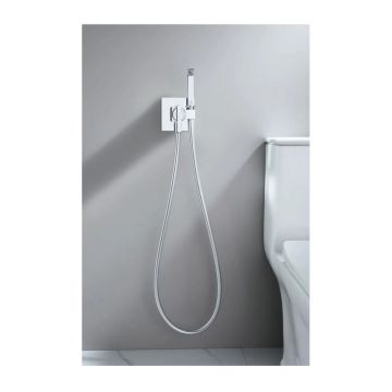 Смеситель для биде скрытого монтажа Ganzer (Ганзер) GZ01157 Хром