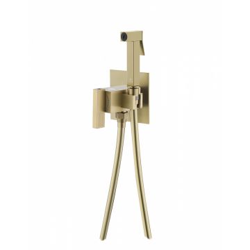 Смеситель для биде скрытого монтажа Ganzer (Ганзер) GZ01157-S Матовое золото