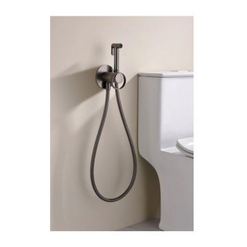 Смеситель для биде скрытого монтажа Ganzer (Ганзер) GZ19157-Q Графит