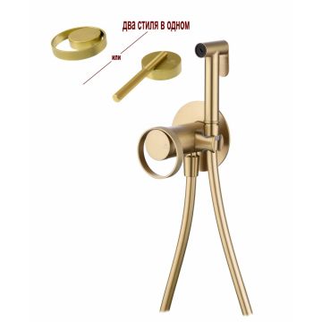 Смеситель для биде скрытого монтажа Ganzer (Ганзер) GZ19157-S Матовое золото