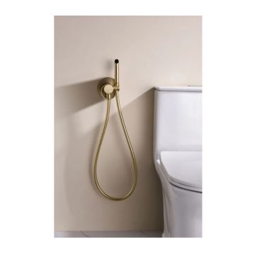 Смеситель для биде скрытого монтажа Ganzer (Ганзер) GZ19157-S Матовое золото