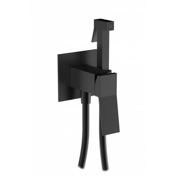 Смеситель для биде скрытого монтажа Ganzer (Ганзер) GZ05157-C Черный