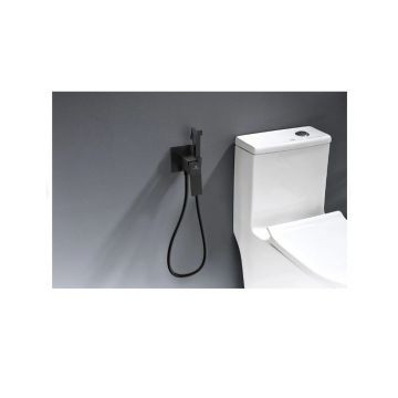 Смеситель для биде скрытого монтажа Ganzer (Ганзер) GZ05157-C Черный