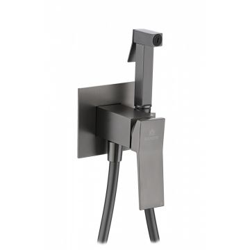 Смеситель для биде скрытого монтажа Ganzer (Ганзер) GZ05157-Q Графит