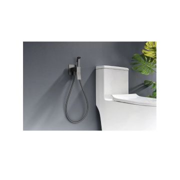 Смеситель для биде скрытого монтажа Ganzer (Ганзер) GZ05157-Q Графит